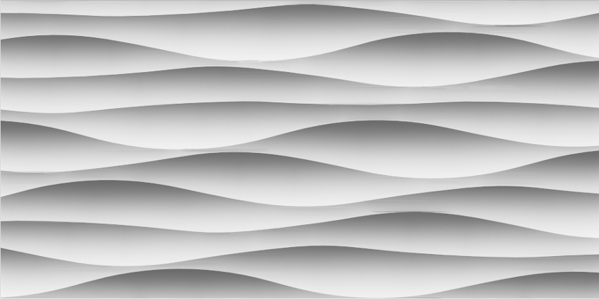 DM-Wドルフィン6000｜サカイリブ