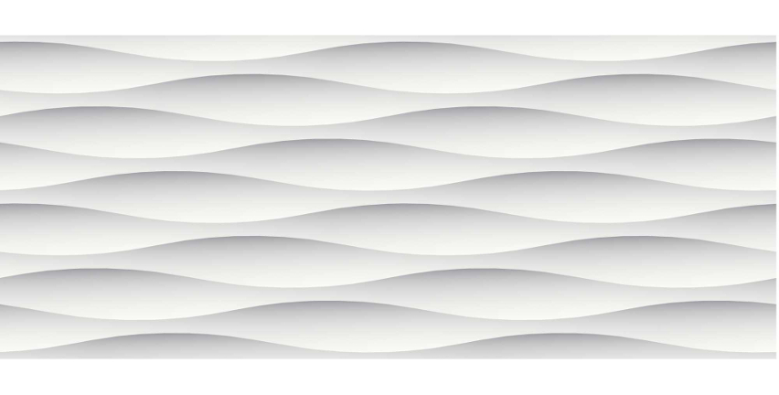 風のドルフィン06｜サカイリブ